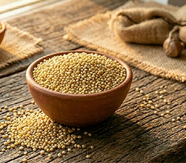 Sorghum Millet